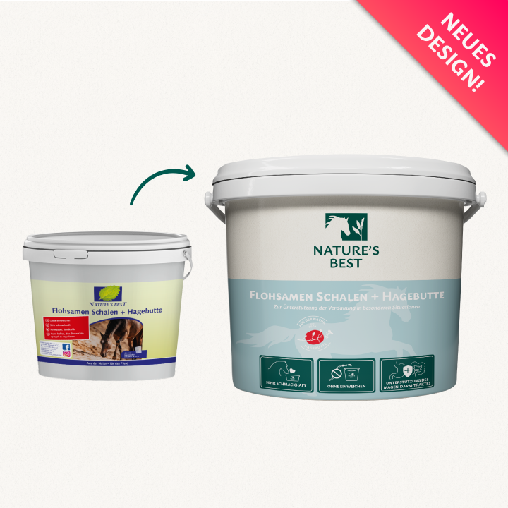 NATURE’S BEST Flohsamenschalen + Hagebutte